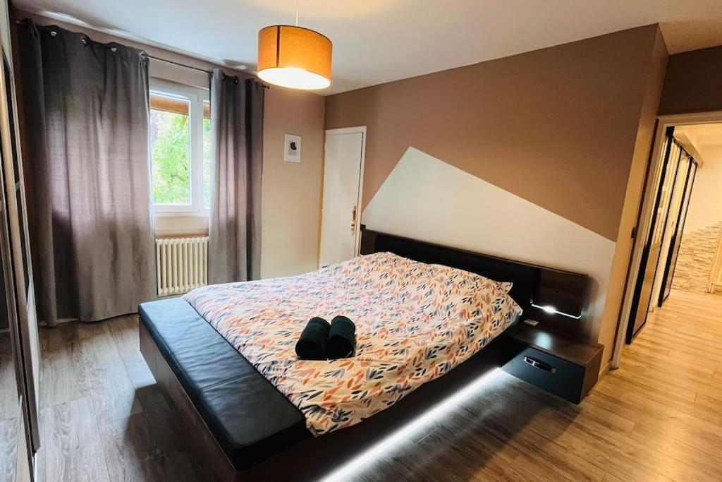 Appartement Proche Centre Ville Avec Parking Gratuit Аннесі Екстер'єр фото