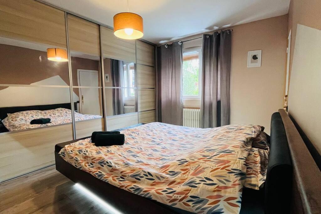 Appartement Proche Centre Ville Avec Parking Gratuit Аннесі Екстер'єр фото